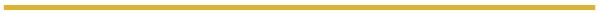 Gold Bar - Page Separator